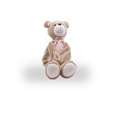 Urso Porta Bolsa Agua Quente