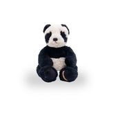 Urso Andy Panda