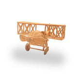 Avião Rattan