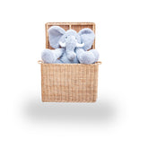 Cesto De Vime Com Alça G