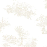 Papel Toile De Urso Bege ( Faixa 1.70 H )