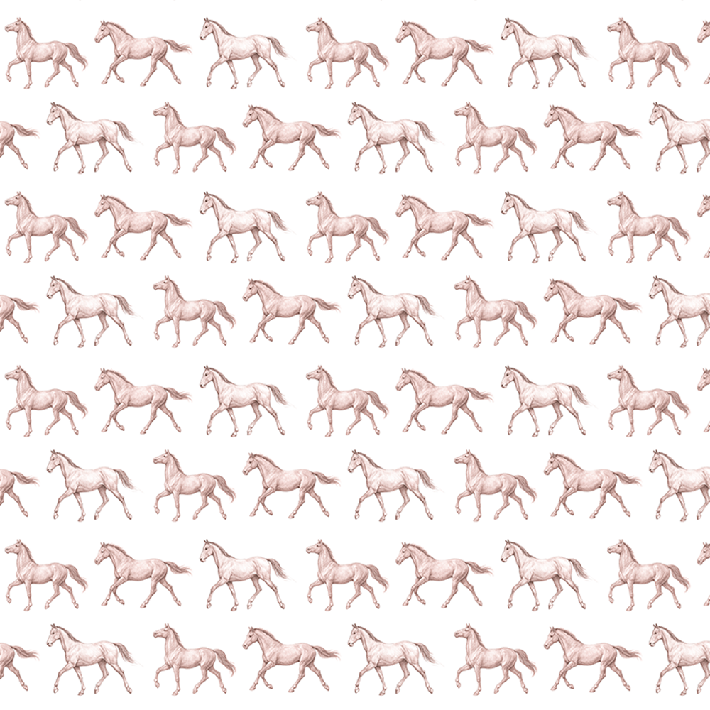 Papel Cavalo Kids Rosa ( Faixa 1.70H )