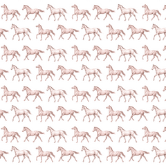 Papel Cavalo Kids Rosa ( Faixa 1.70H )
