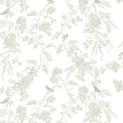 Papel Toile Pássaros Verde Floresta