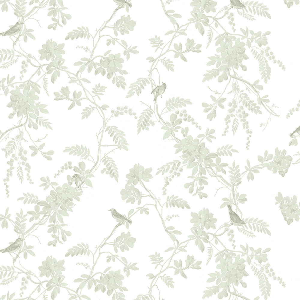 Papel Toile Pássaros Verde Floresta