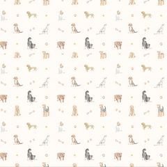 Papel Dog  ( Faixa 1.70 H )