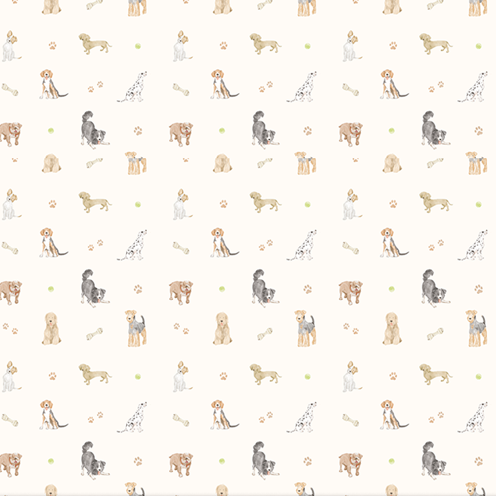 Papel Dog ( Faixa 3.40 H )