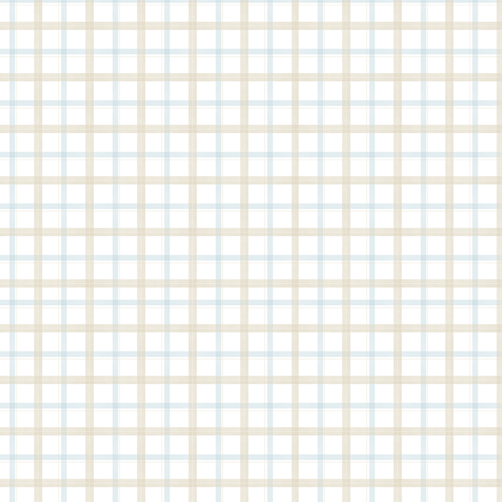 Papel Xadrez Equestre Azul ( Faixa 2.80H )