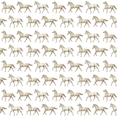 Papel Cavalo Kids Bege ( Faixa 3.40H )