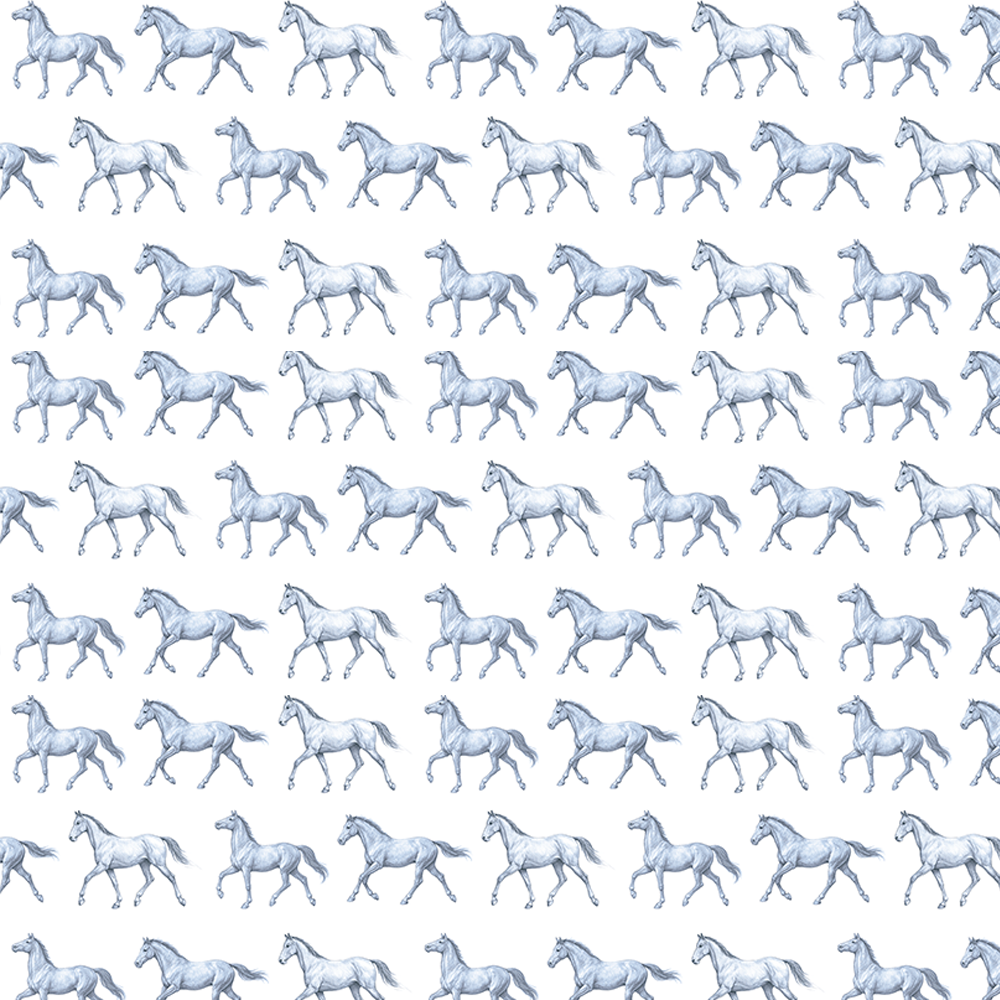Papel Cavalo Kids Azul ( Faixa 1.70H )