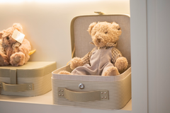 Urso Tristan