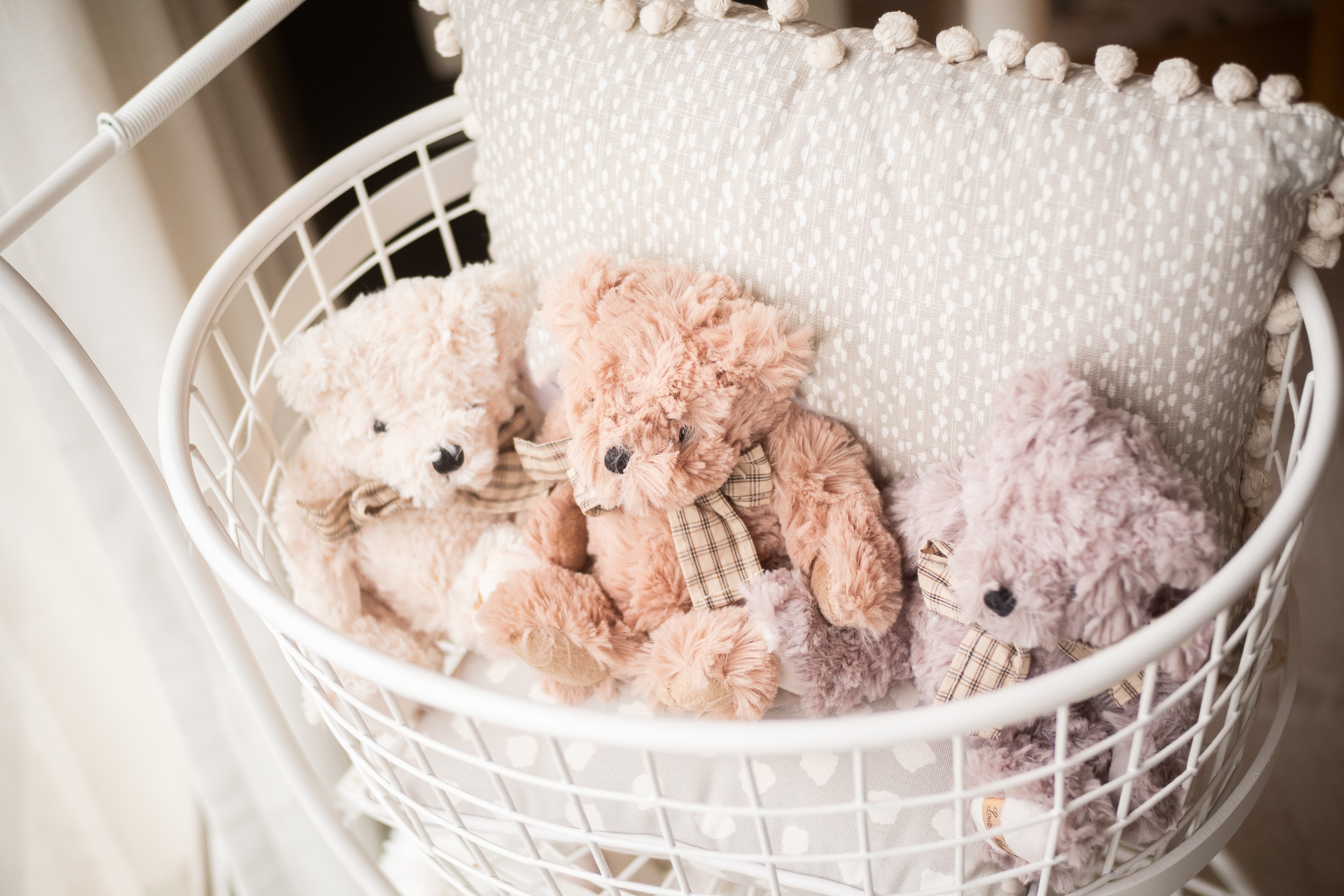 Urso Tim Teddy