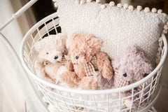 Urso Tim Teddy