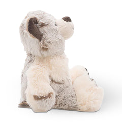 Urso Qincy