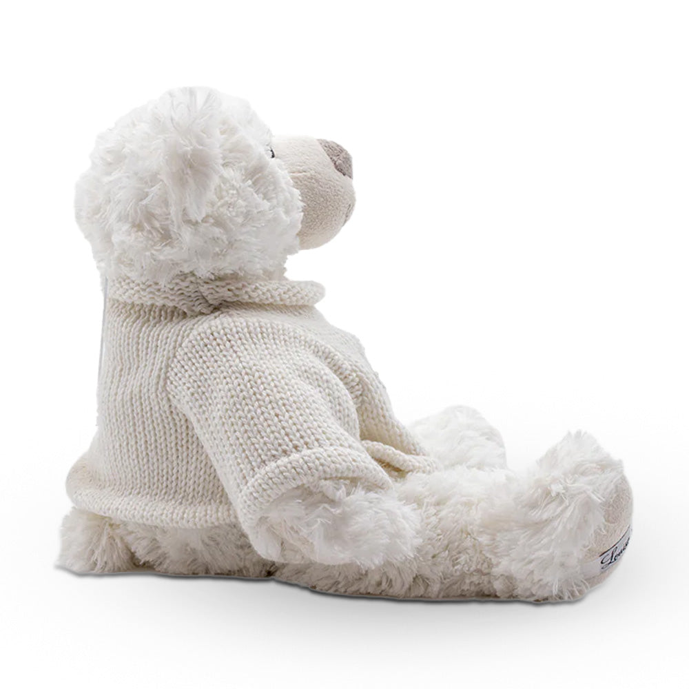 Urso Dawane