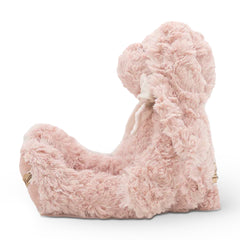 Coelha Jeyna Rosa