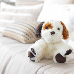 Dog Cooper