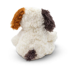 Dog Cooper