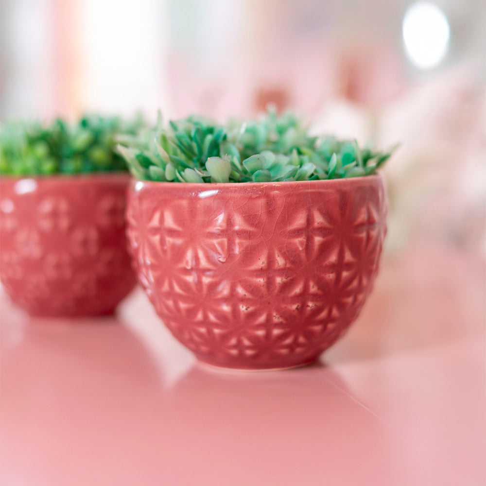 Vaso Cerâmica Copo Topiaria