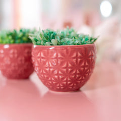 Vaso Cerâmica Copo Topiaria