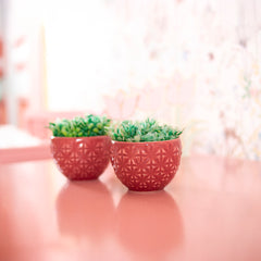 Vaso Cerâmica Copo Topiaria