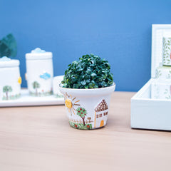 Vaso Casinha C/ Ouro