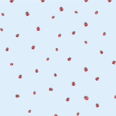Papel De Parede Joaninha - Coleção Lolitta ( Faixa 1.70 H )