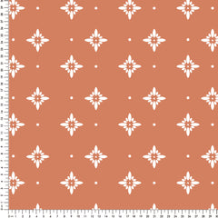 Papel Asteri Laranja  (Faixa 3.40H)