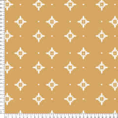 Papel Asteri Mostarda  (Faixa 3.40H)