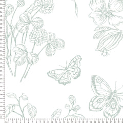 Papel Toile Borboletas Verde Celadon ( Faixa 1.70 H )