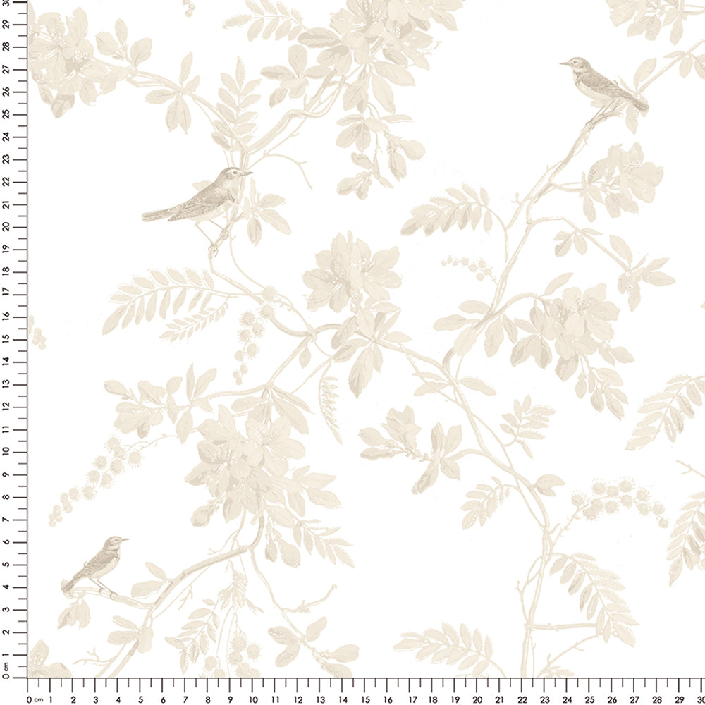 Papel Toile Pássaros Bege  ( Faixa 2.80 H )