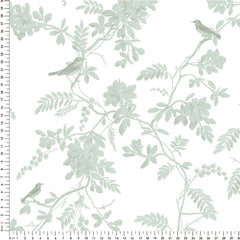 Papel Toile Pássaros Verde Celadon  ( Faixa 1.70 H )