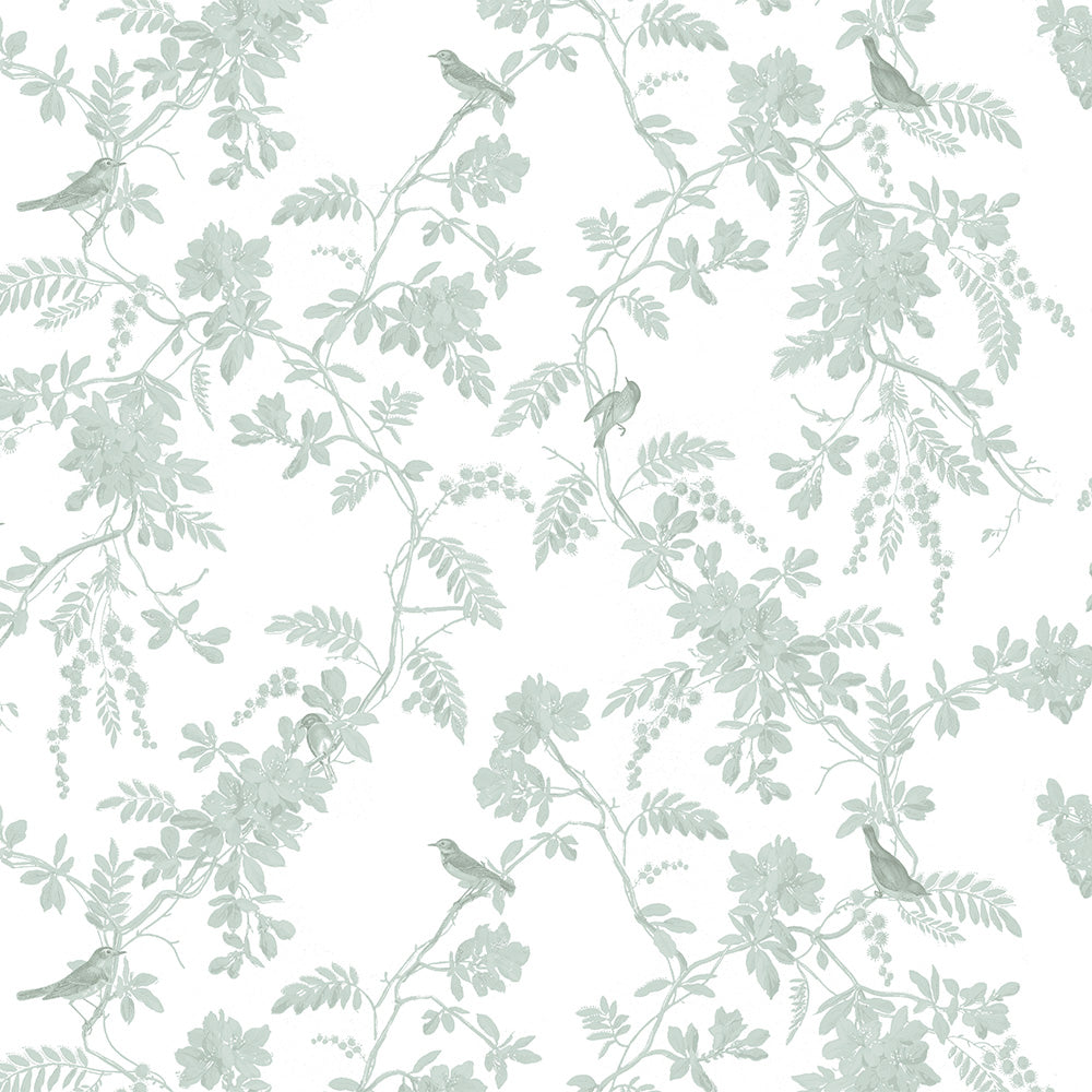 Papel Toile Pássaros Verde Celadon  ( Faixa 2.80 H )
