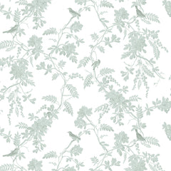 Papel Toile Pássaros Verde Celadon  ( Faixa 2.80 H )