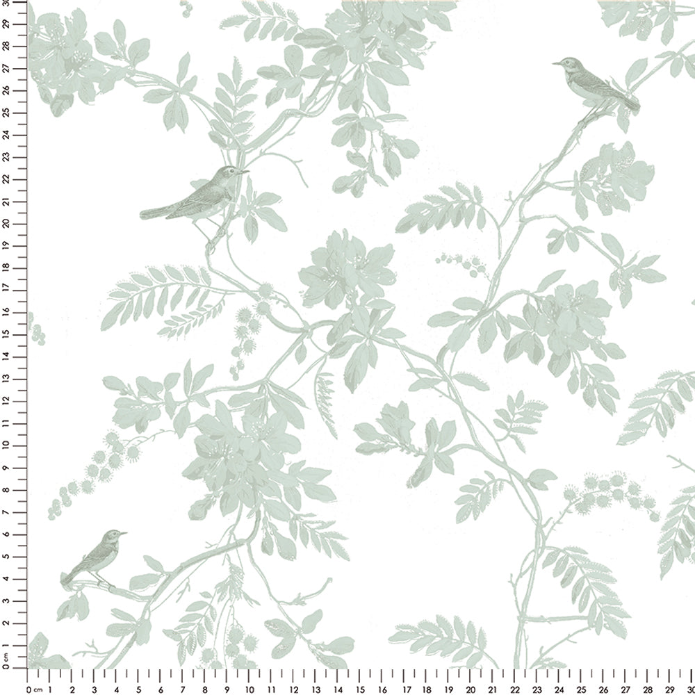 Papel Toile Pássaros Verde Celadon  ( Faixa 3.40 H )