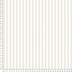 Papel Listra Baby Bege ( Faixa 1.70H )