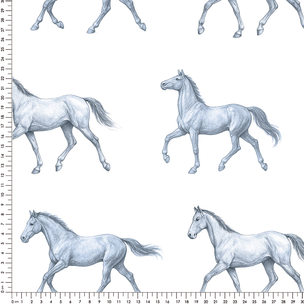 Papel Cavalos Kids Azul ( Faixa 3.40H )