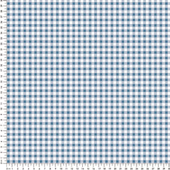 Papel Vichy Azul Kids ( Faixa 3.40H )